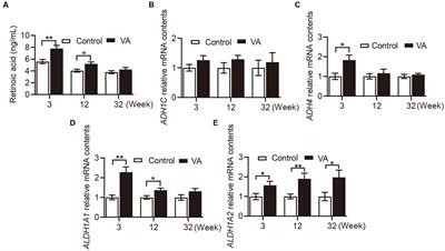 Intramuscular vitamin A injection in newborn lambs enhances antioxidant capacity and improves meat quality